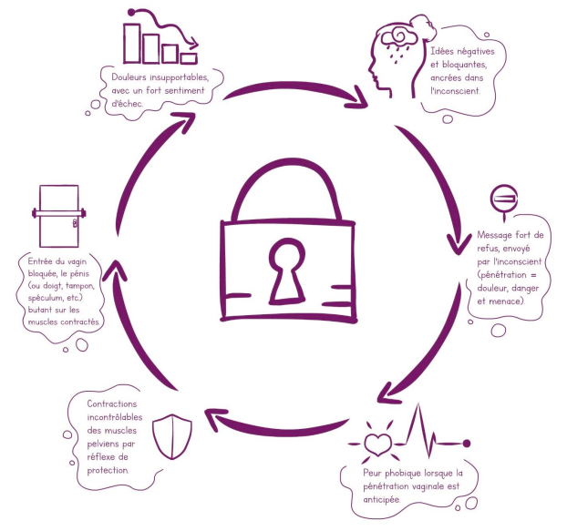 Capture d’écran 2025-10-27 à 11.30.28 vaginisme le cercle vicieux - Source Velvi